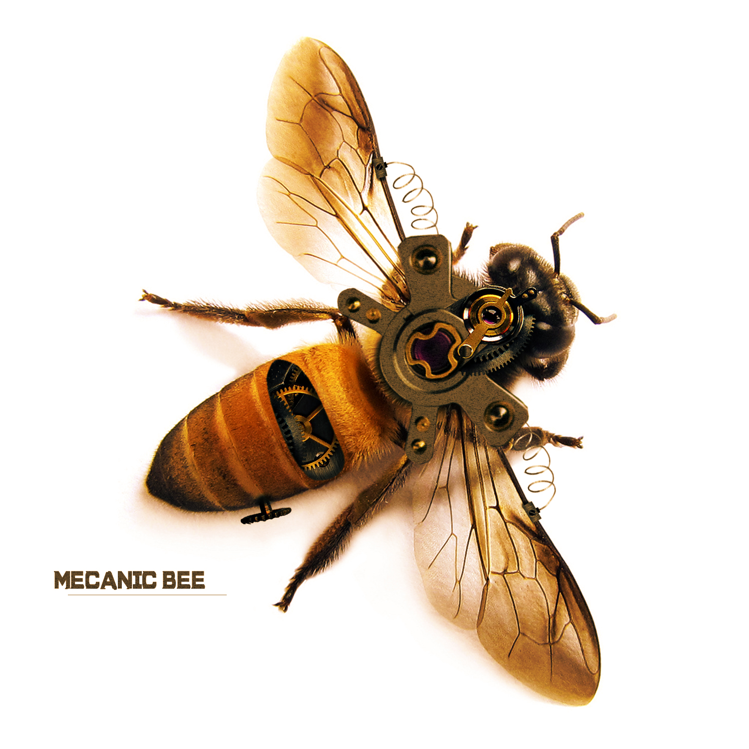Abeille_mecanique.jpg