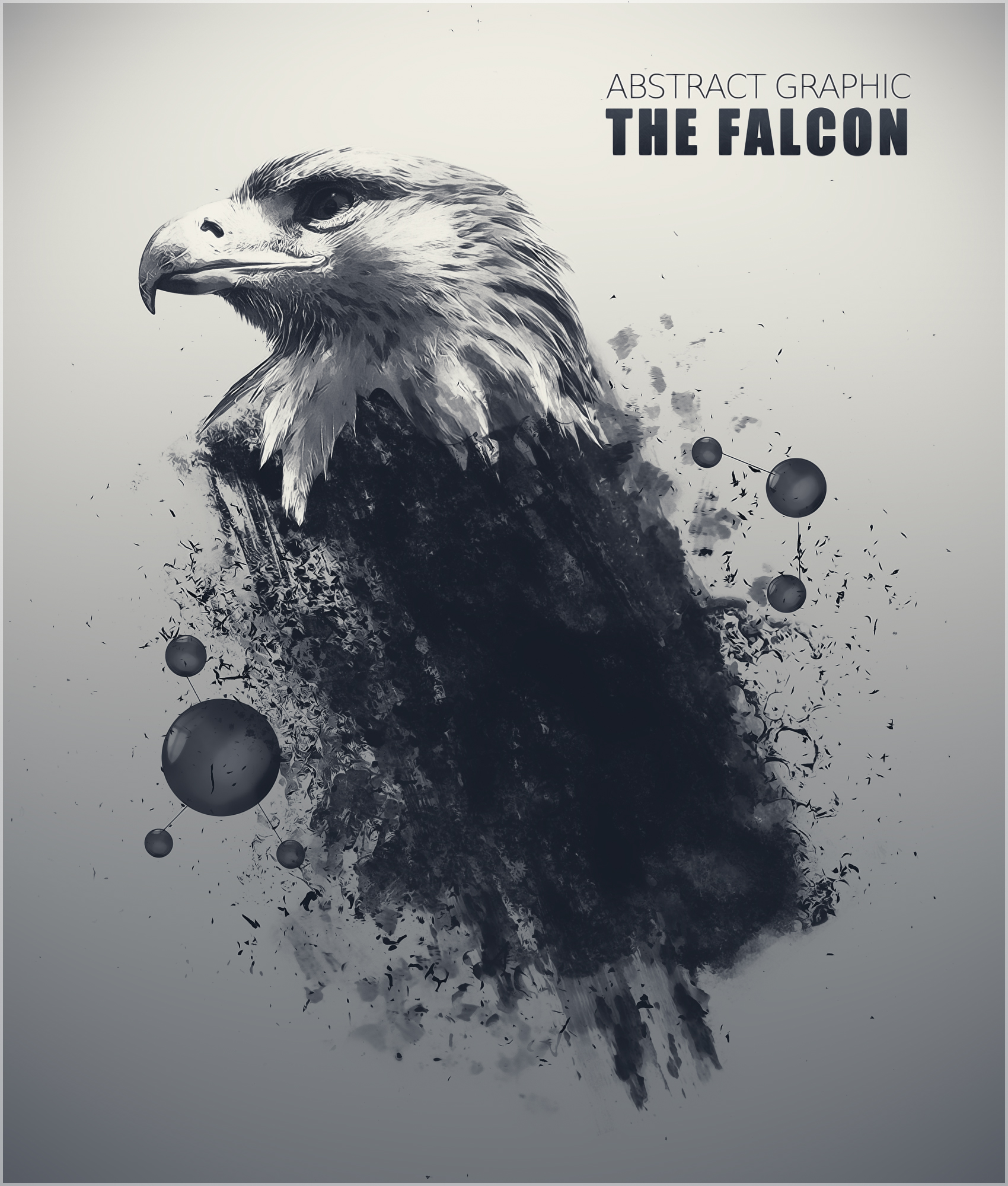 TheFalcon.jpg
