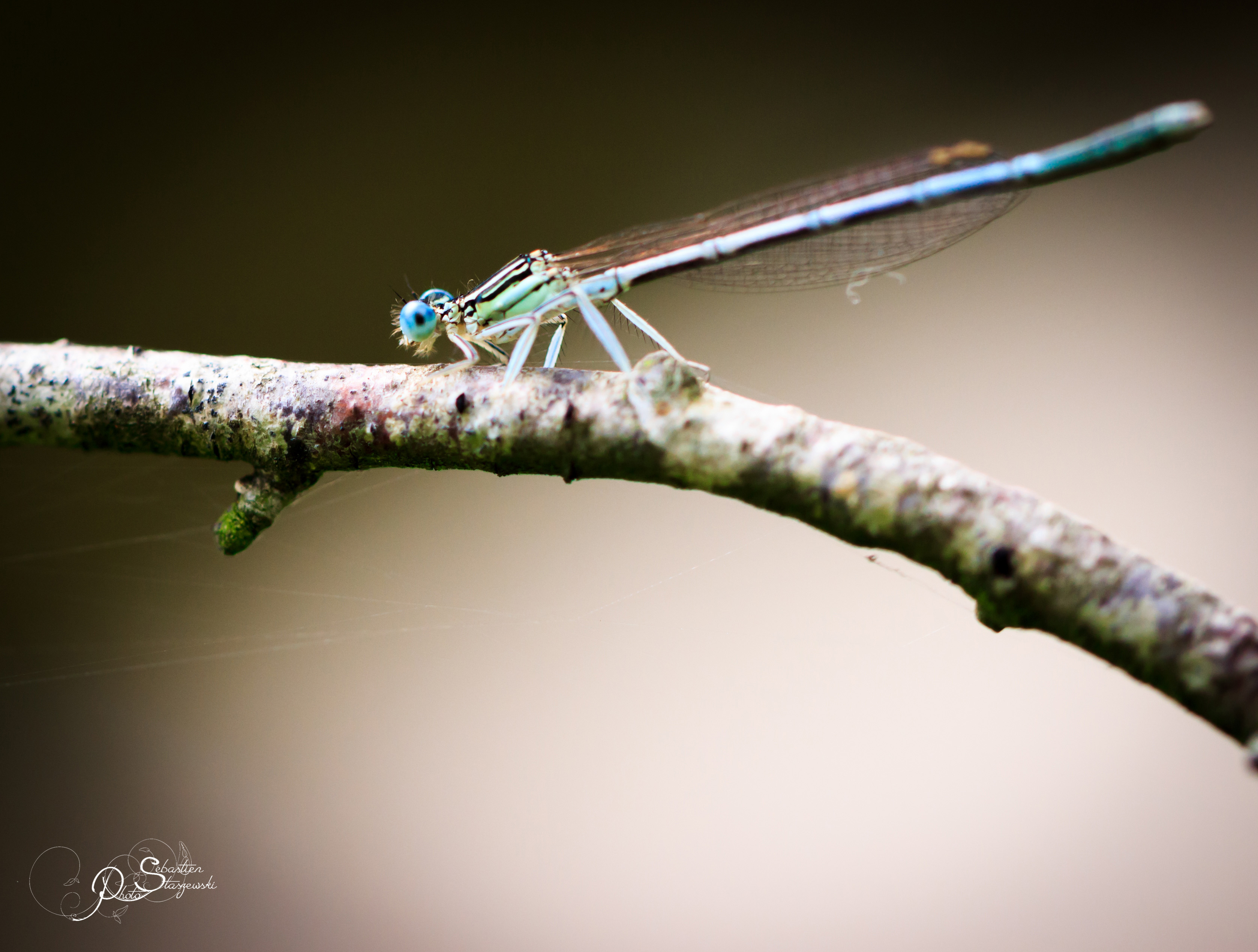 Portfolio-1-4.jpg