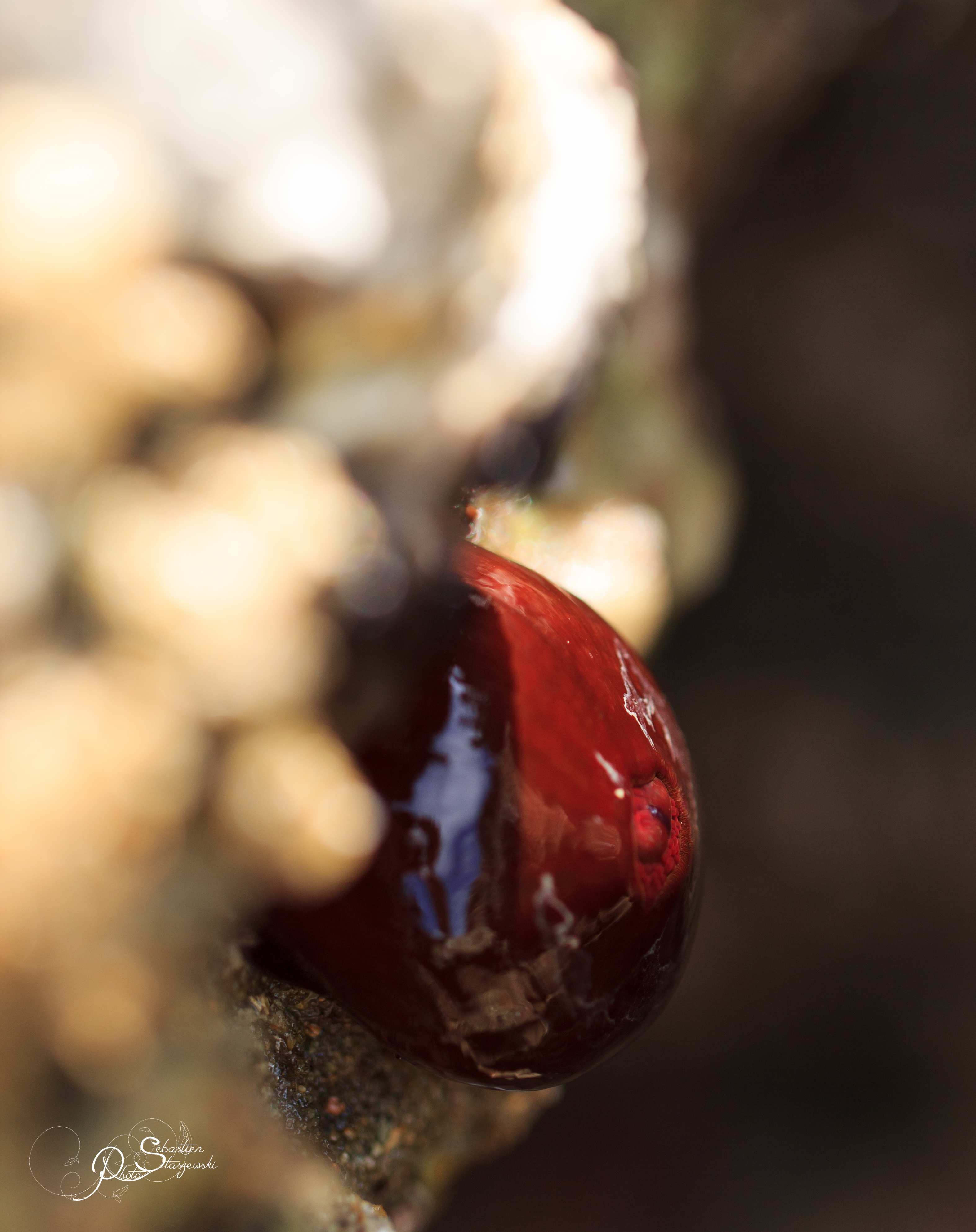 Portfolio-1-11.jpg