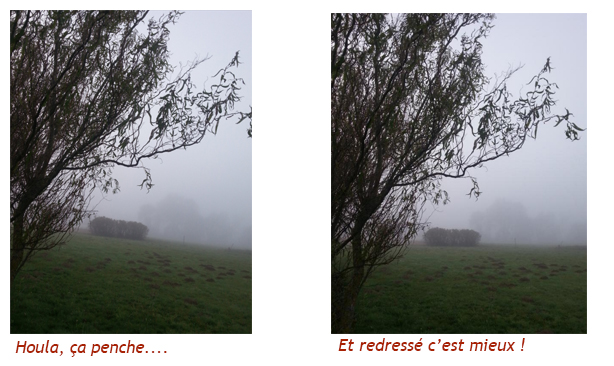 lignes.jpg