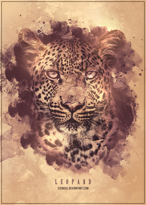 LEOPARD.png