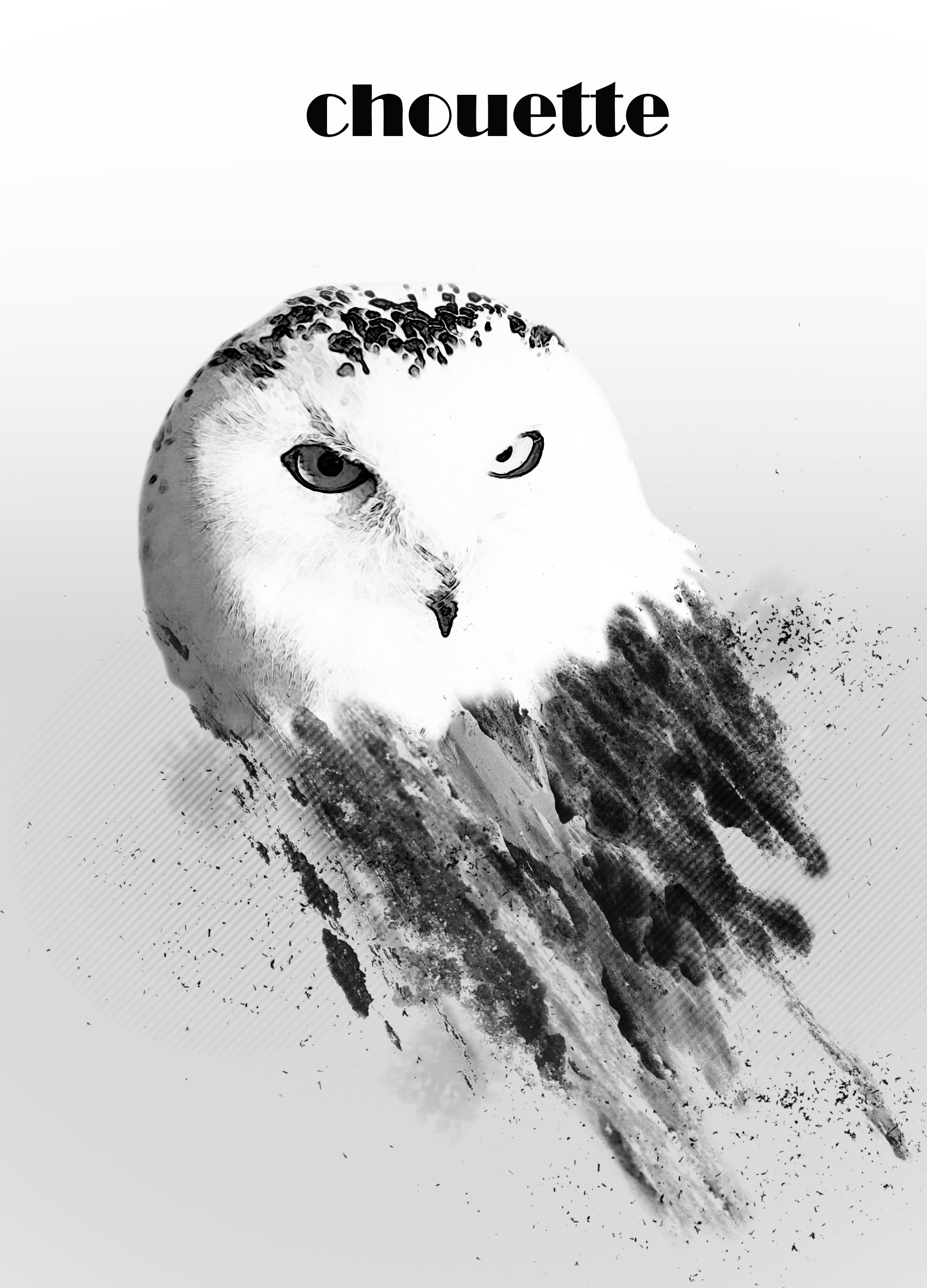 aigle.png