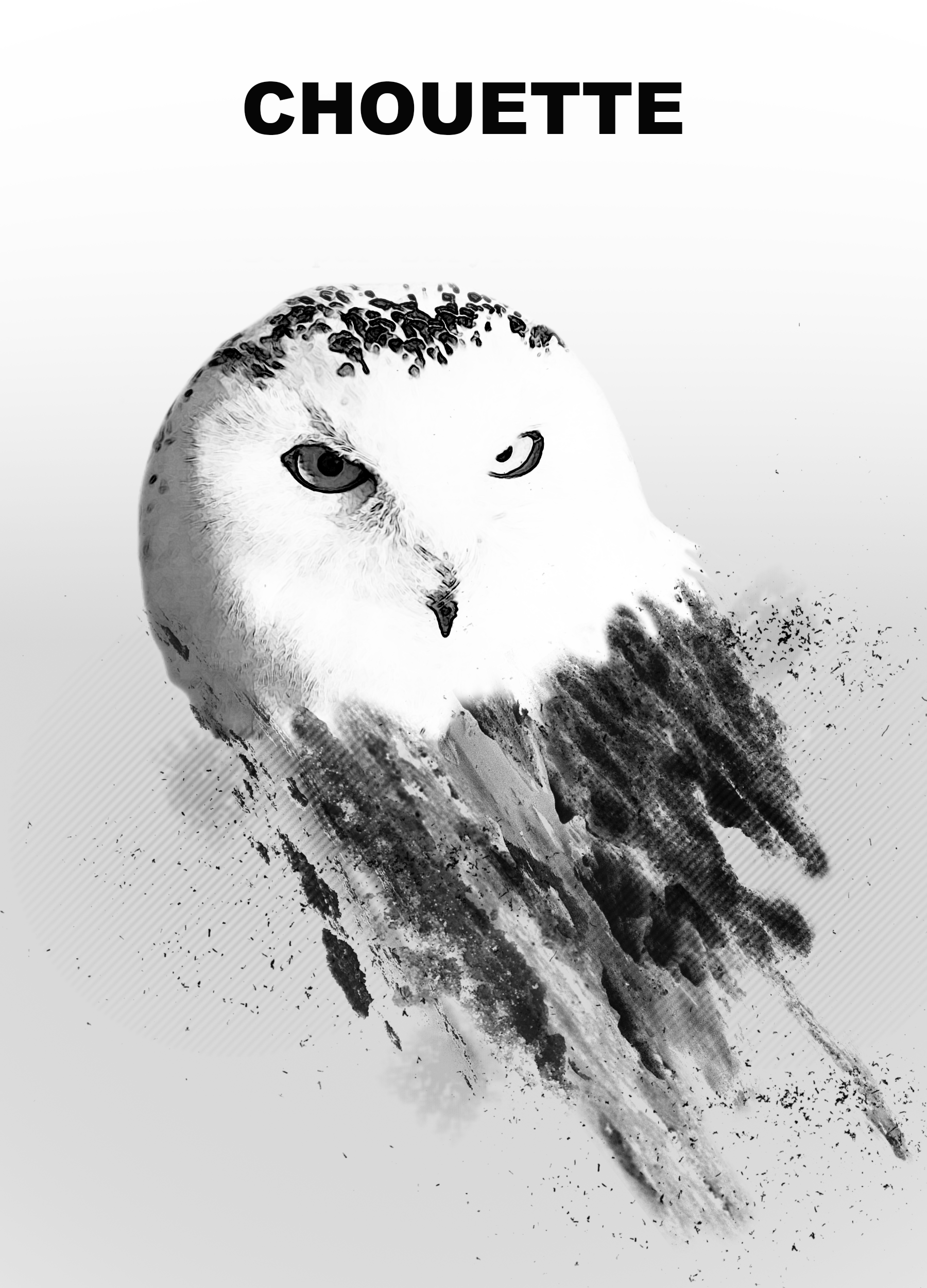 aigle1.png