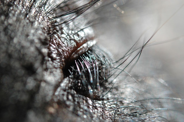 673743DSC0371.jpg