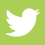 twitter icon hover